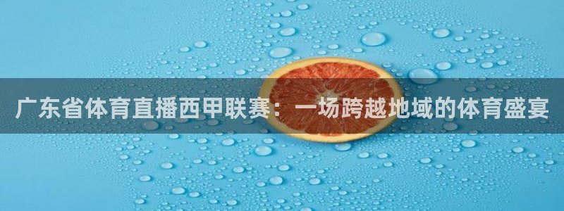 小九直播乐悠足球免费观看：广东省体育直播西甲联赛：一场跨越地域的体育盛宴