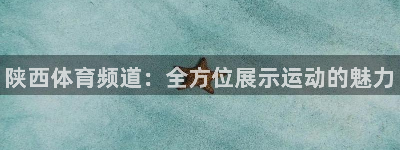 nba直播小九直播在线观看：陕西体育频道：全方位展示运动的魅力