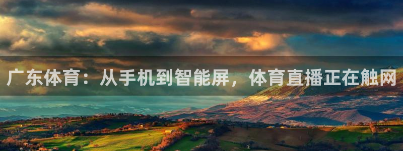 小九直播nba：广东体育：从手机到智能屏，体育直播正在触网