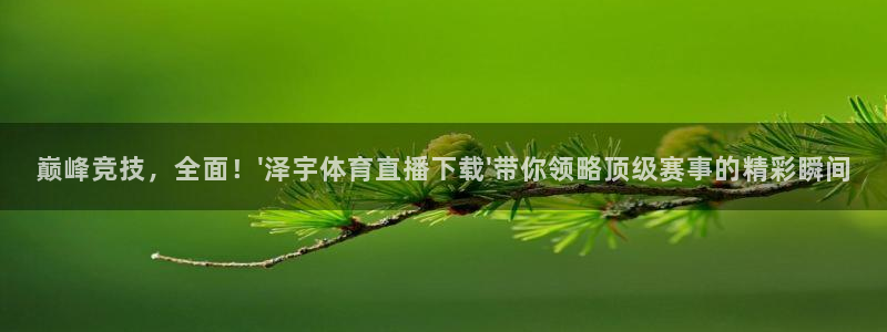 足球直播小九直播在线观看：巅峰竞技，全面！\'泽宇体育直播下载\'带你领略顶级赛事的精彩瞬间