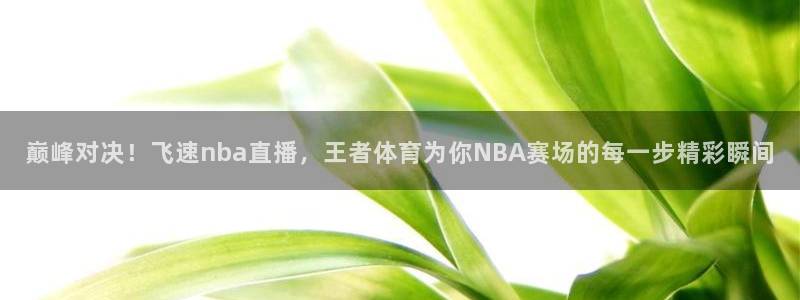 足球比赛直播小九：巅峰对决！飞速nba直播，王者体育为你NBA赛场的每一步精彩瞬间