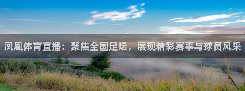 小九直播nba免费观看高清：凤凰体育直播：聚焦全国足坛，展现精彩赛事与球员风采