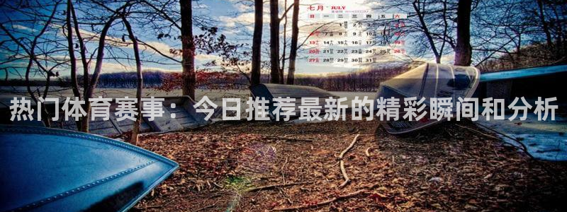 小九的视频：热门体育赛事：今日推荐最新的精彩瞬间和分析