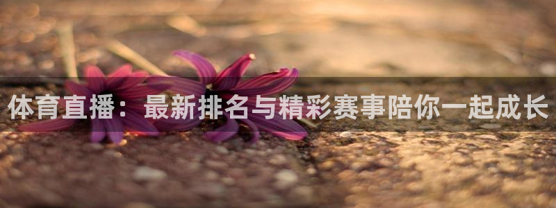 小九篮球直播在线观看：体育直播：最新排名与精彩赛事陪你一起成长