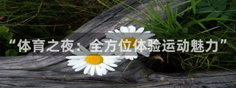 小九直播体育：“体育之夜：全方位体验运动魅力”