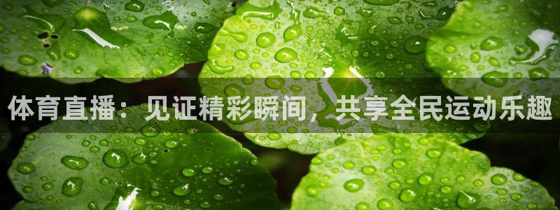 小九视频：体育直播：见证精彩瞬间，共享全民运动乐趣