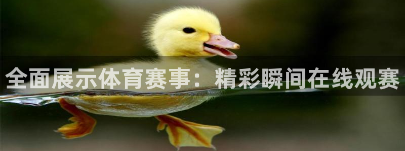 nba直播吧小九：全面展示体育赛事：精彩瞬间在线观赛