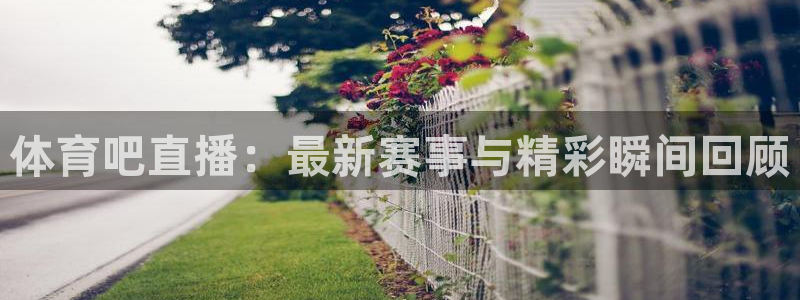 免费nba小九比赛直播高清：体育吧直播：最新赛事与精彩瞬间回顾